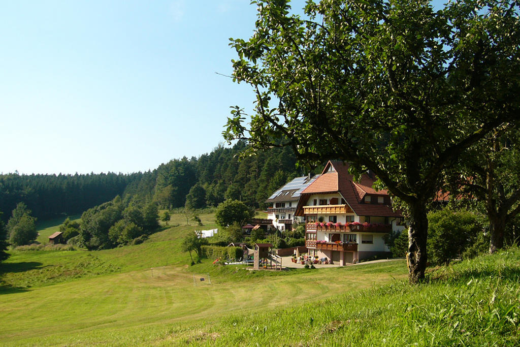 Schlosshof - Der Urlaubsbauernhof Villa Elzach Buitenkant foto