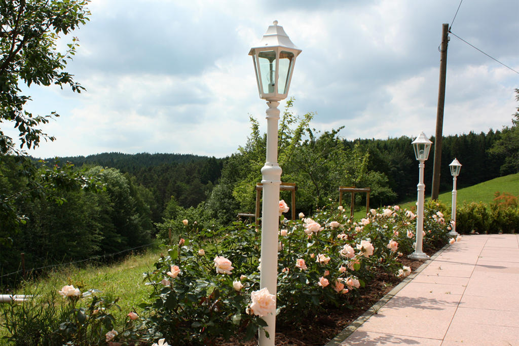 Schlosshof - Der Urlaubsbauernhof Villa Elzach Buitenkant foto