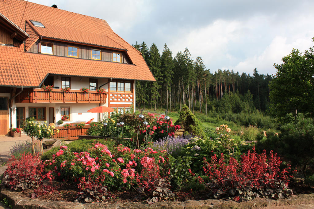 Schlosshof - Der Urlaubsbauernhof Villa Elzach Buitenkant foto
